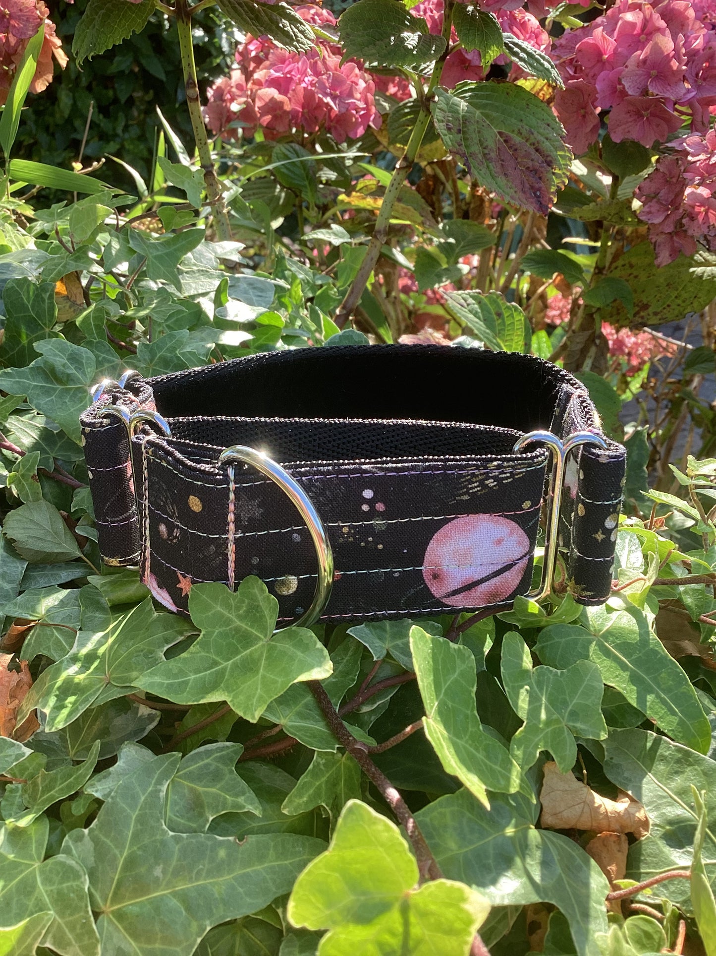 Planets Martingale Collar