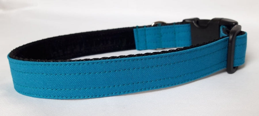 Canvas Teal Green Collar