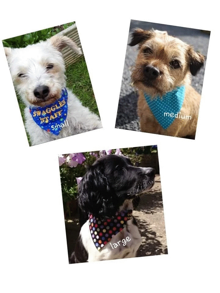 Sienna & White Spot Bandana