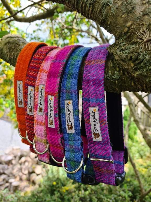 Harris Tweed Orange Collar