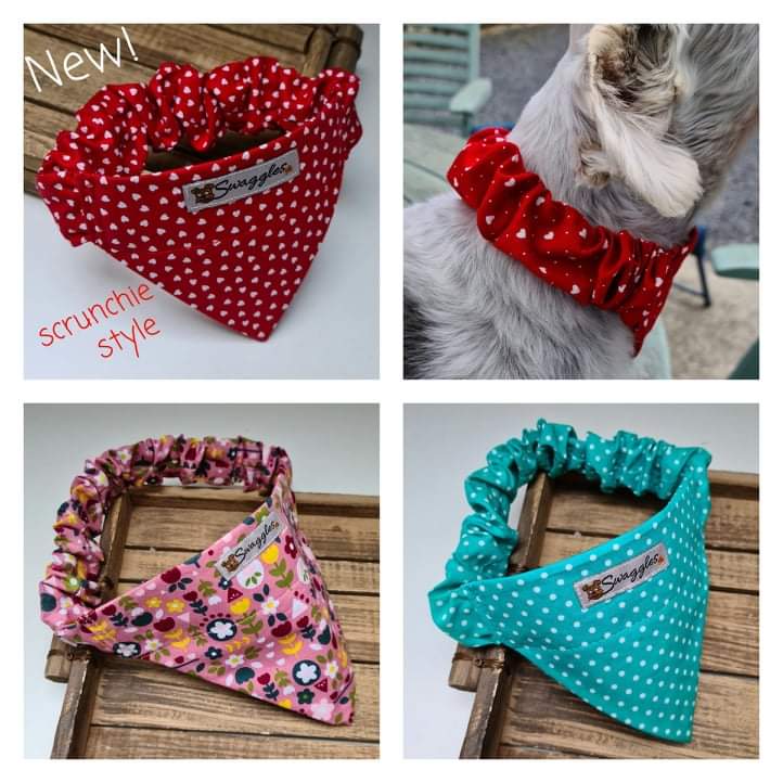 Aqua & Pink Roses Bandana