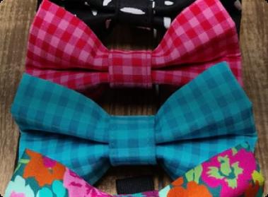 swaggles dog bowties