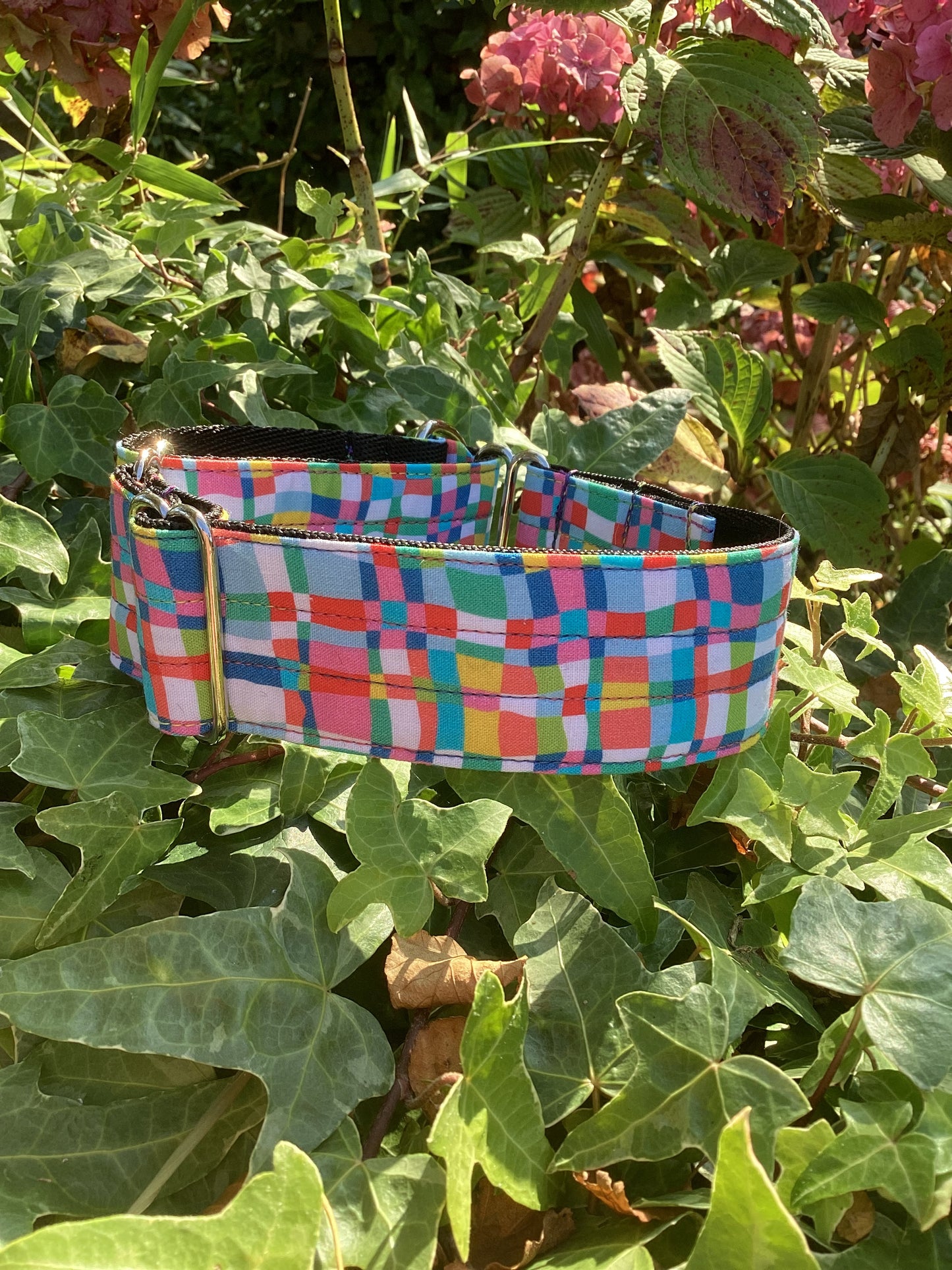 Colourful Geometric Martingale Collar