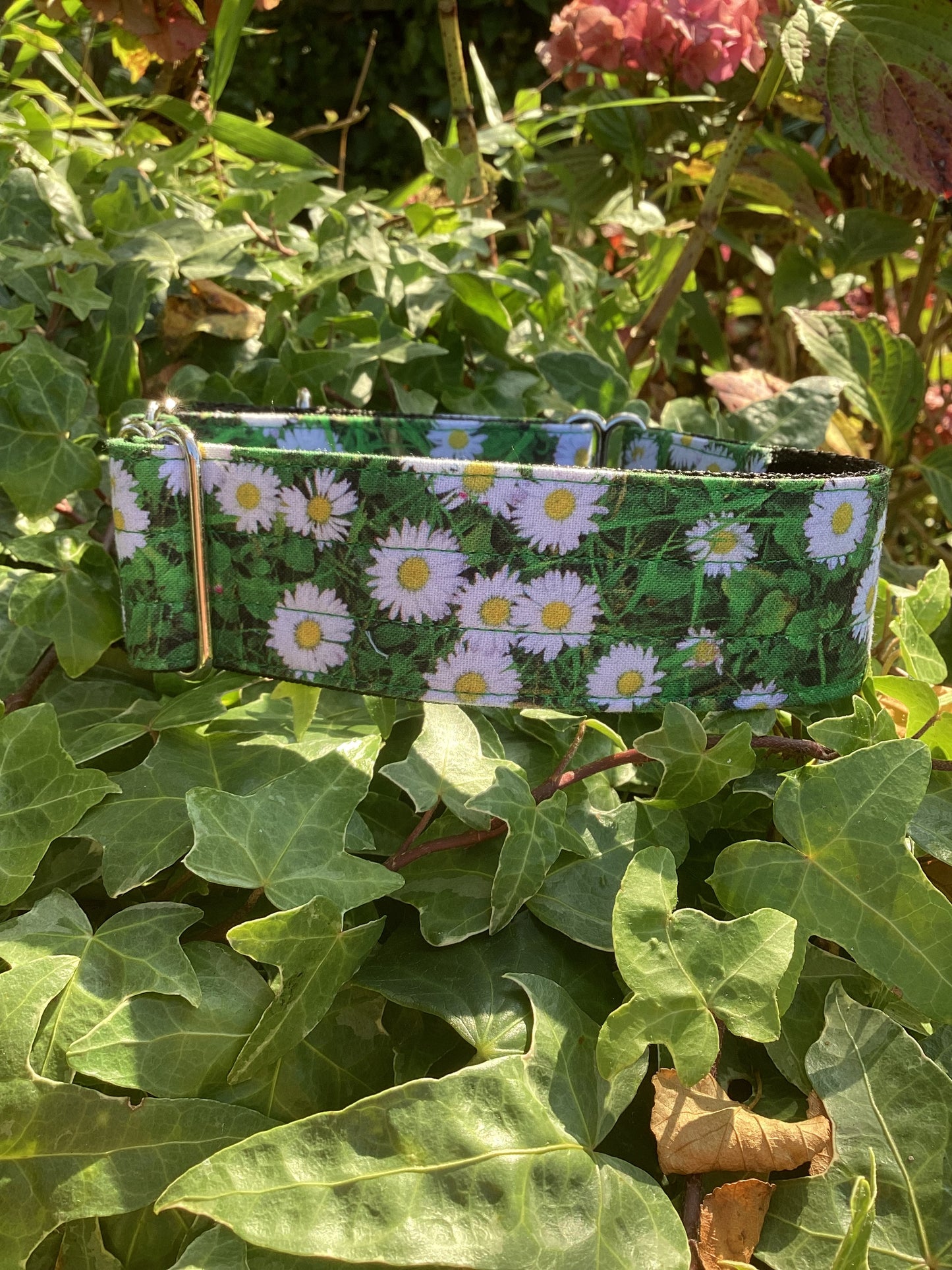 Daisies Martingale Collar