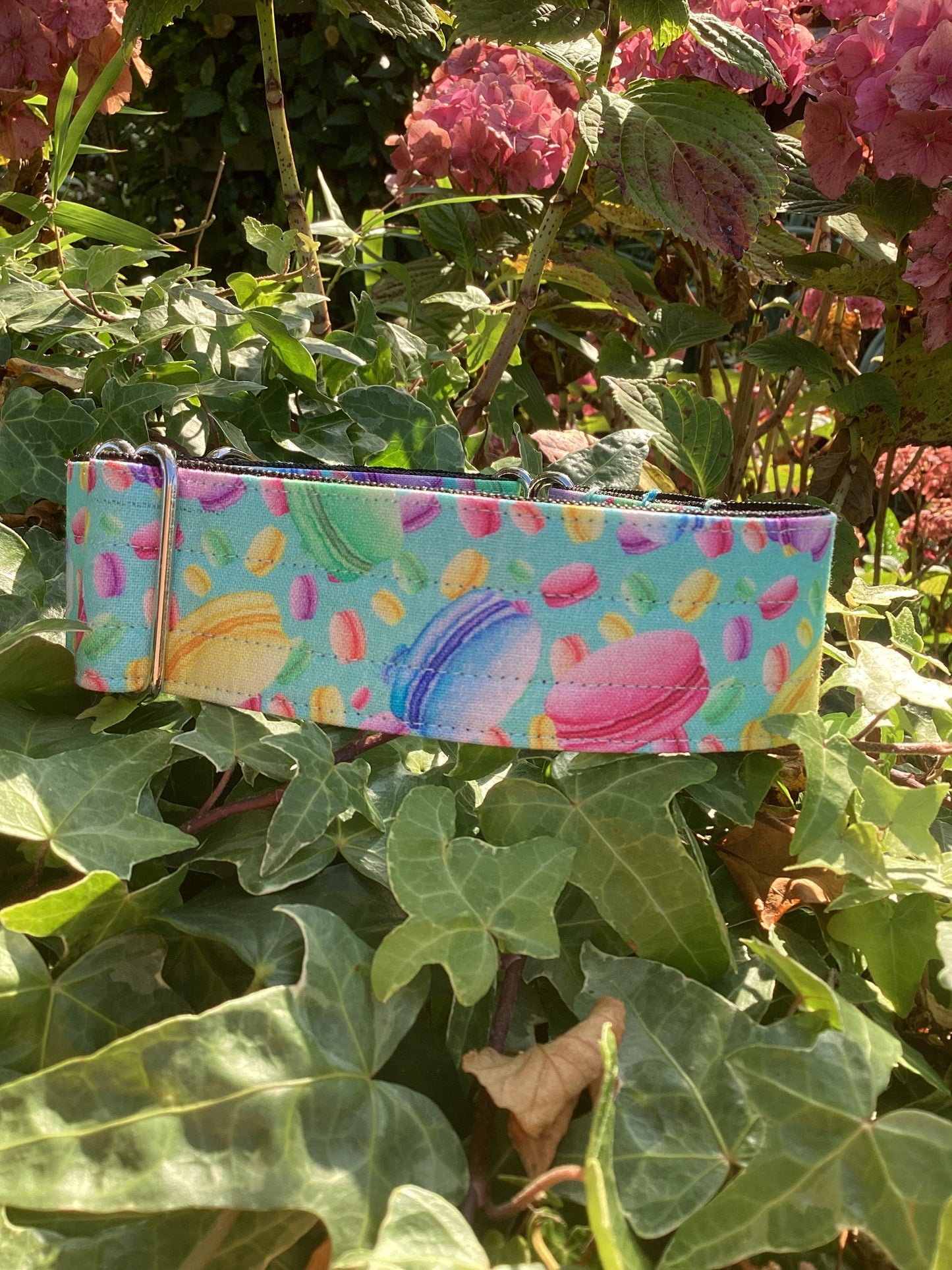 Macarons Martingale Collar