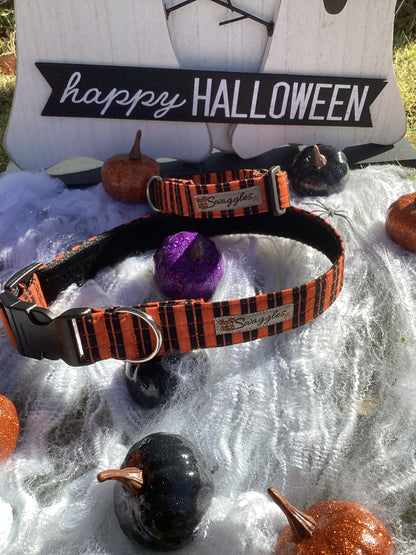 Orange Candy Stripe Collar