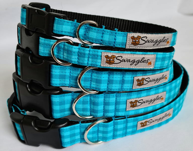 Turquoise Gingham Check Collar