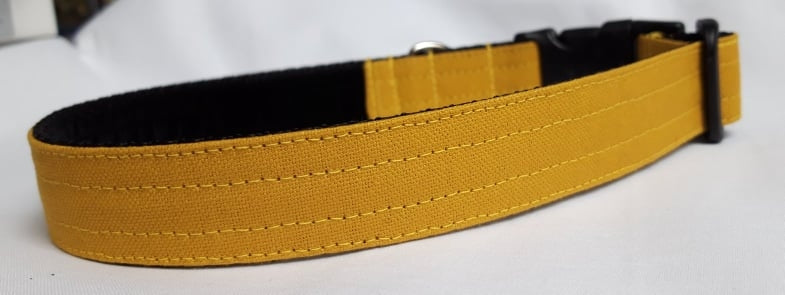 Canvas Mustard Collar