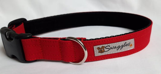 Canvas Red Collar