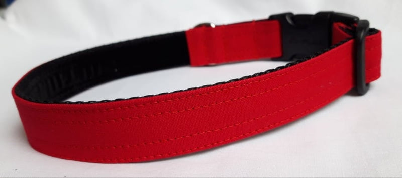 Canvas Red Collar