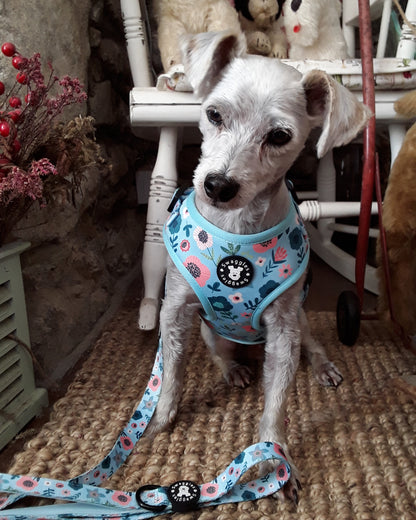 Blue and Pink Scandi Floral Harness