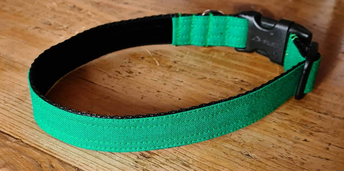 Canvas Emerald Green Collar