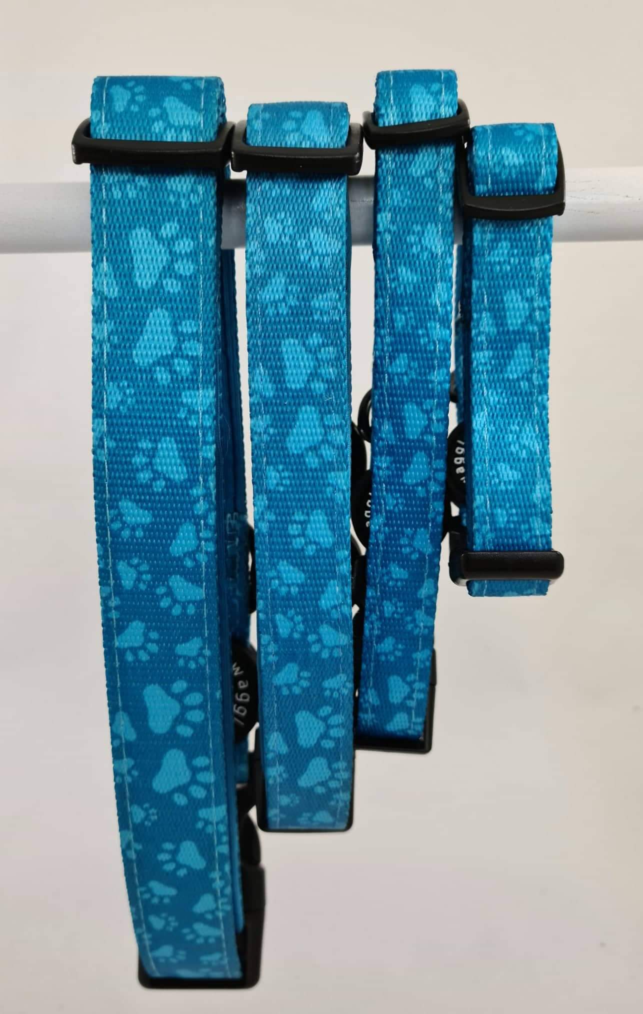 Turquoise Paws Collar