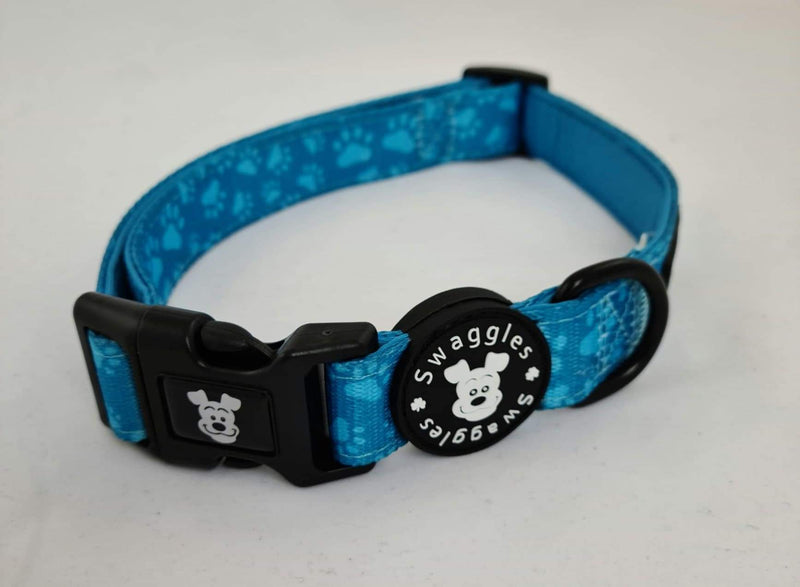 Turquoise Paws Collar