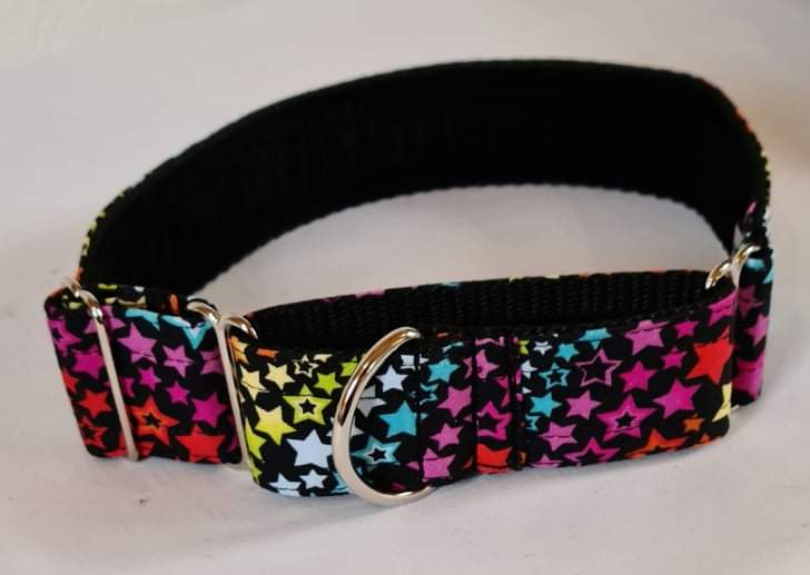 Rainbow Stars Martingale Collar