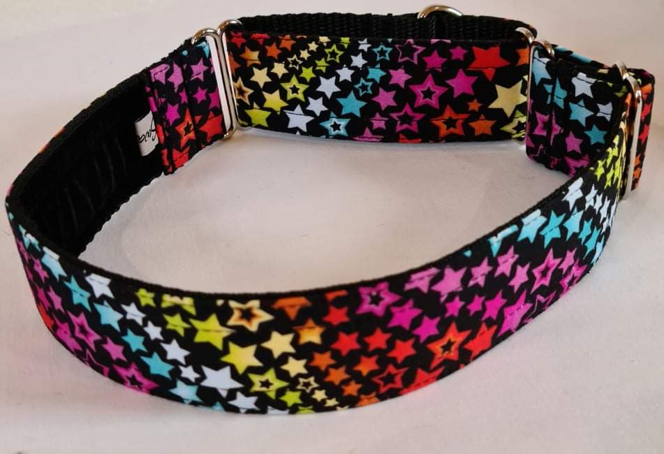 Rainbow Stars Martingale Collar