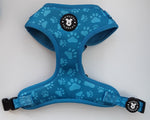 Turquoise Paws Harness