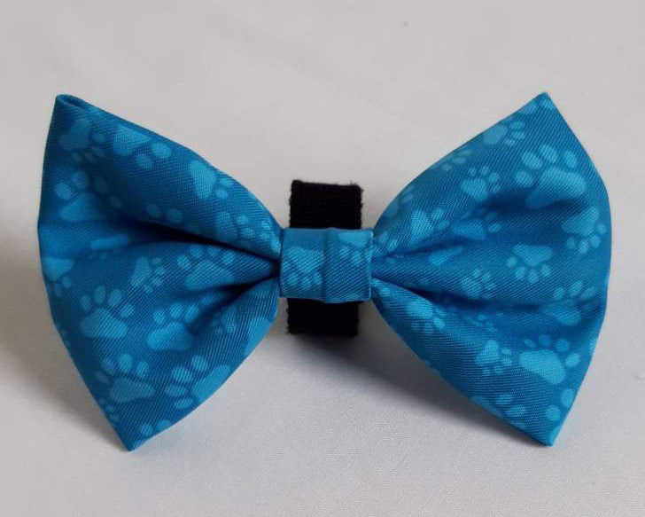Turquoise Paws Bow Tie