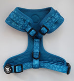 Turquoise Paws Harness